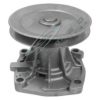 CAR 330017 Water Pump